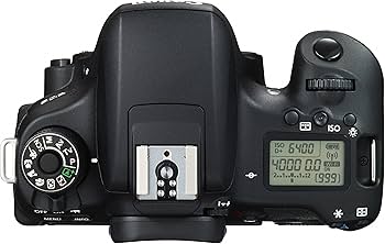Amazon.com: Canon EOS Rebel T6s Digital SLR (Body Only) : Office