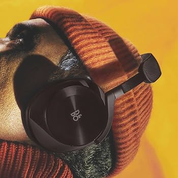 Amazon.co.jp: バング・アンド・オルフセン (Bang & Olufsen