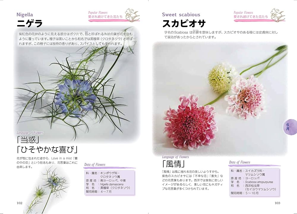 81dJ61IcfOL._AC_UF1000,