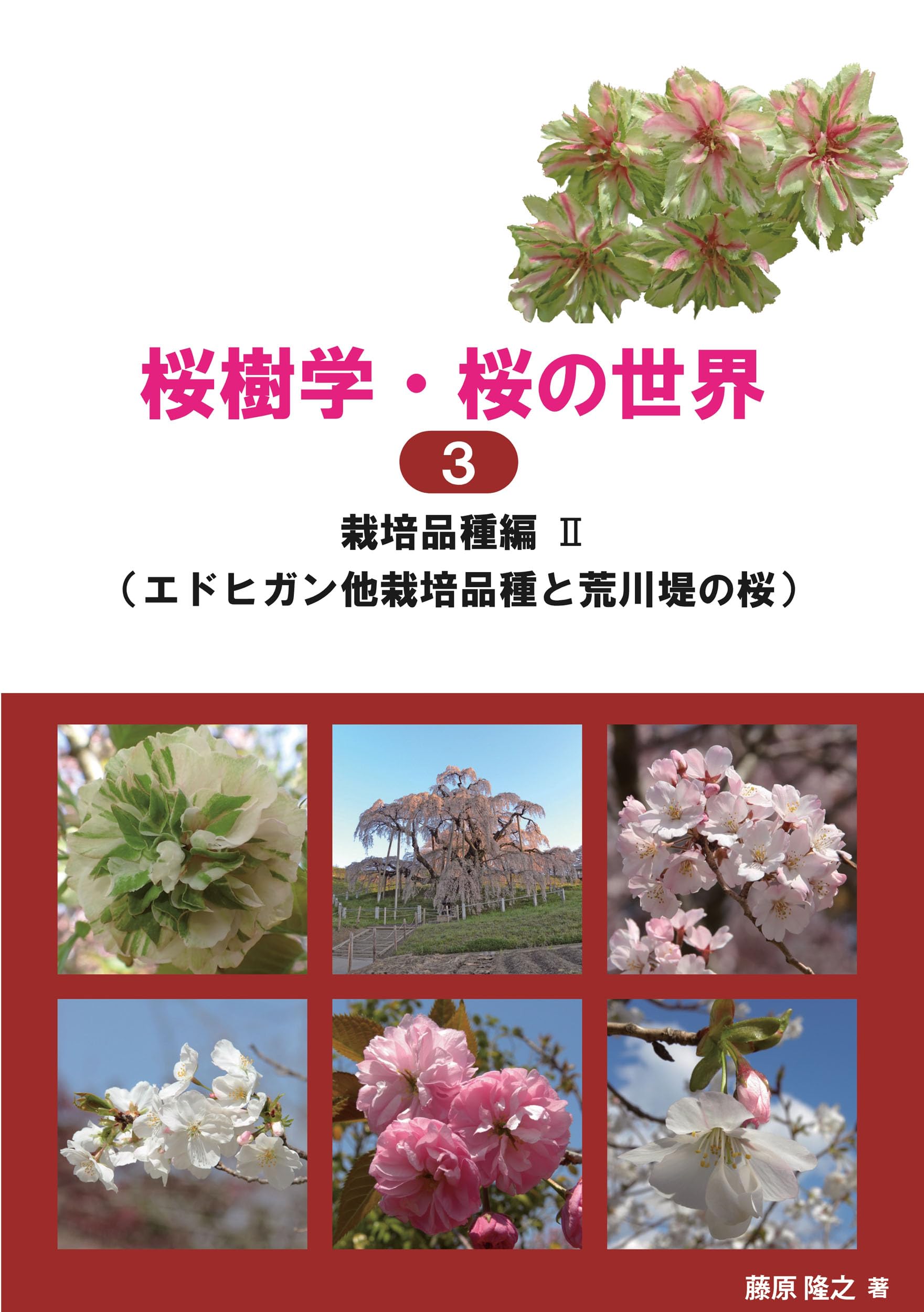 桜樹学・桜の世界3 栽培品種編Ⅱ（エドヒガン他栽培品種と荒川堤の桜