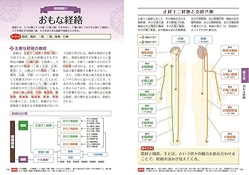 オールカラー版 基本としくみがよくわかる東洋医学の 教科書 | 平馬