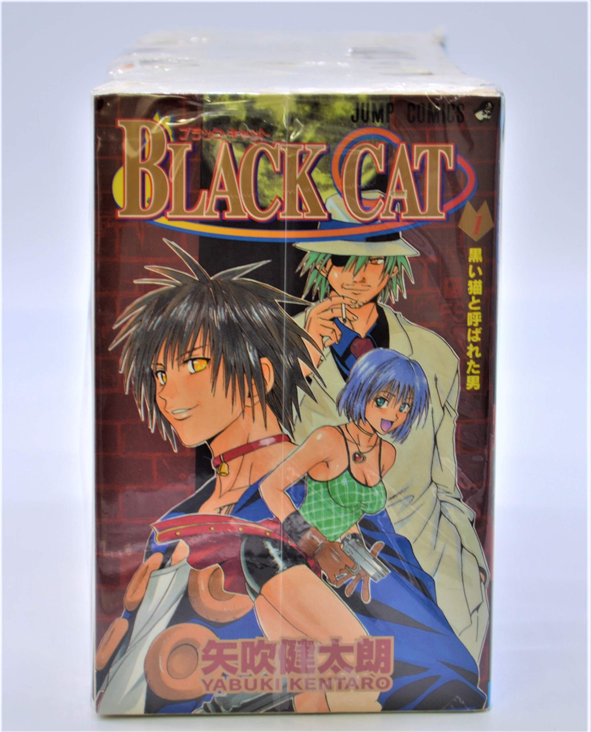 BLACK CAT 全20巻完結 (ジャンプ・コミックス) [マーケットプレイス