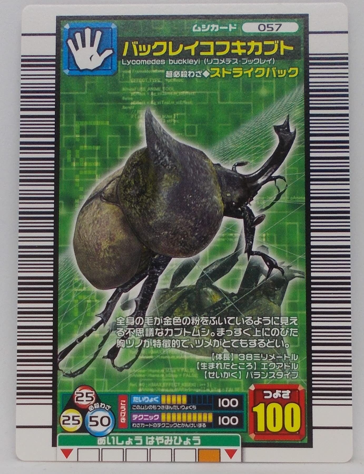 Amazon | 【057-2006 ファースト】バックレイコフキカブト／甲虫王者