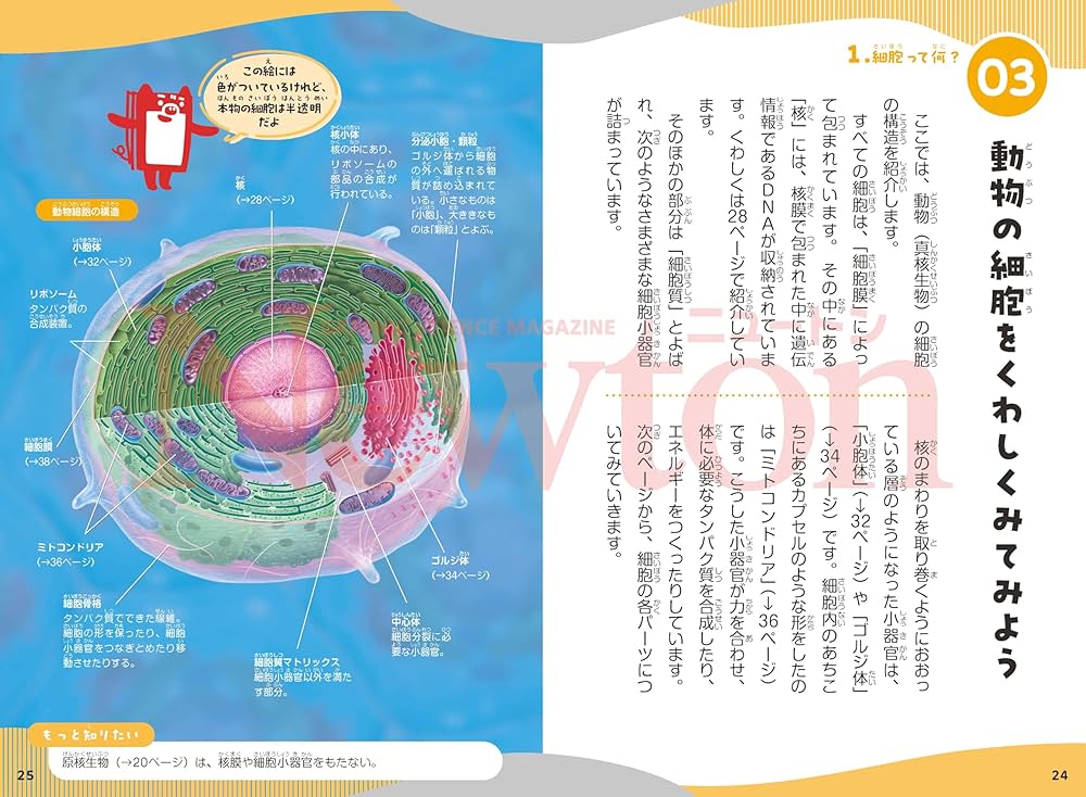 Amazon.co.jp: ニュートン科学の学校シリーズ 細胞の学校 : 牛木 辰男: 本