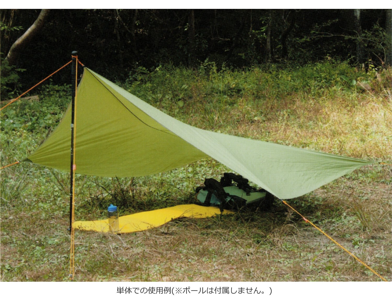 Amazon | ARAI TENT(アライテント) トレックタープBeyond フォレスト