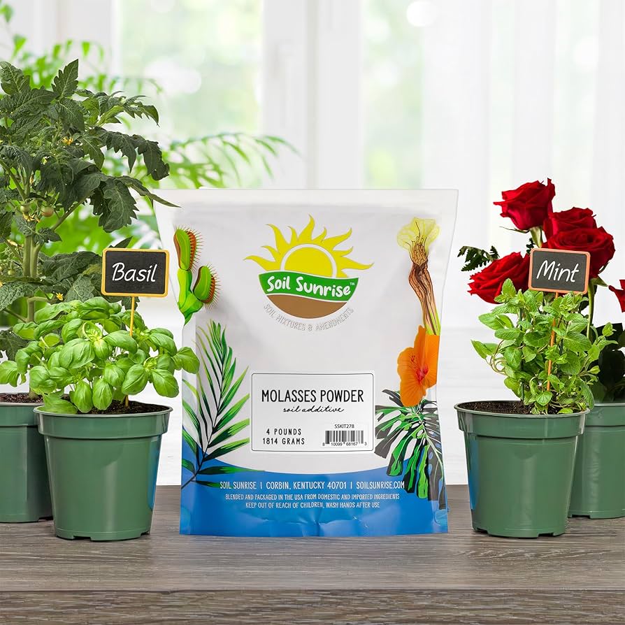 81feTCp0l5L._AC_UF894,