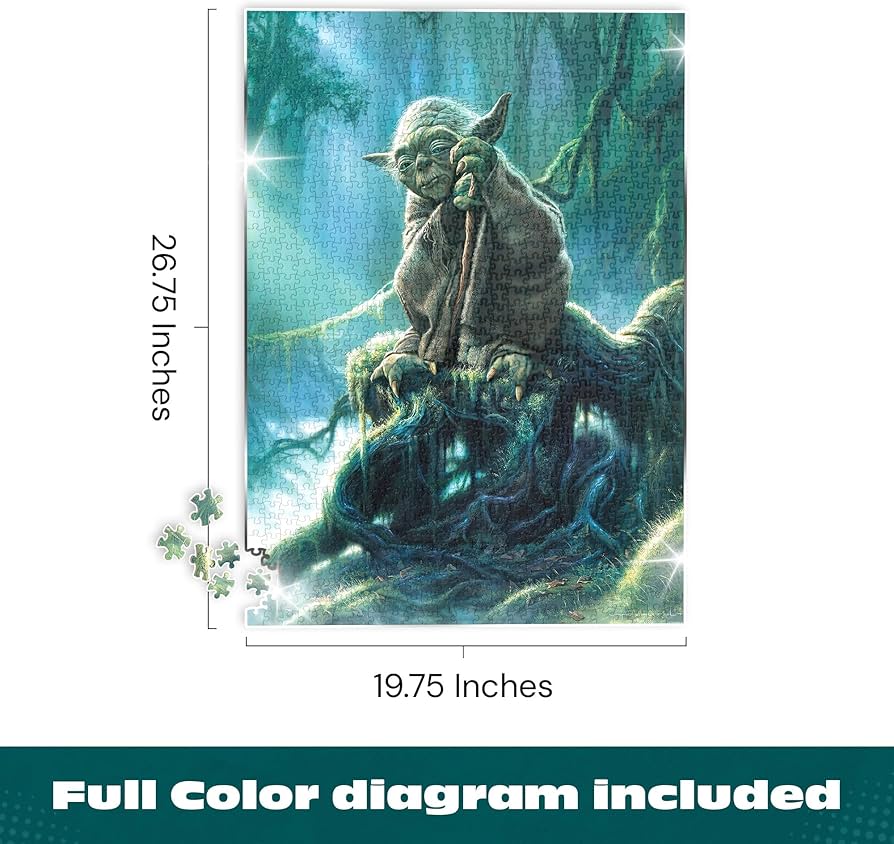 81fdaa8BnoL._AC_UF894,