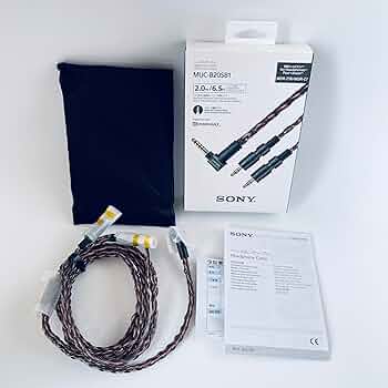 81fi2SELK-L._AC_UF350,