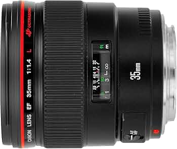 81fiZuJQaOL._AC_UF350,