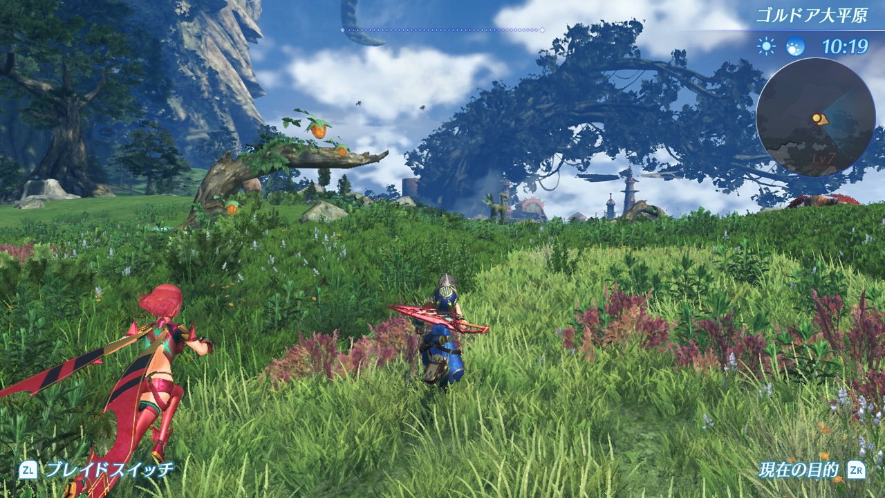 Amazon.com: Xenoblade2 Collector's Edition (ゼノブレイド2