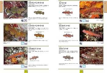 81ge5sCUQrL._AC_UF350,