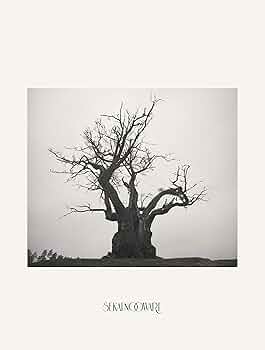 Amazon.co.jp: SEKAI NO OWARI 2010-2019[完全生産限定プレミアムBOX