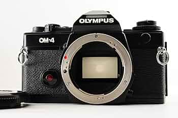 81gvN5tbbOL._AC_UF350,