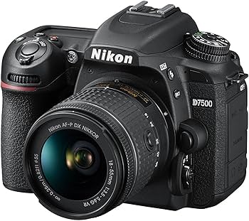 Amazon.com : Nikon D7500 20.9MP DX-Format Digital SLR Camera + 18