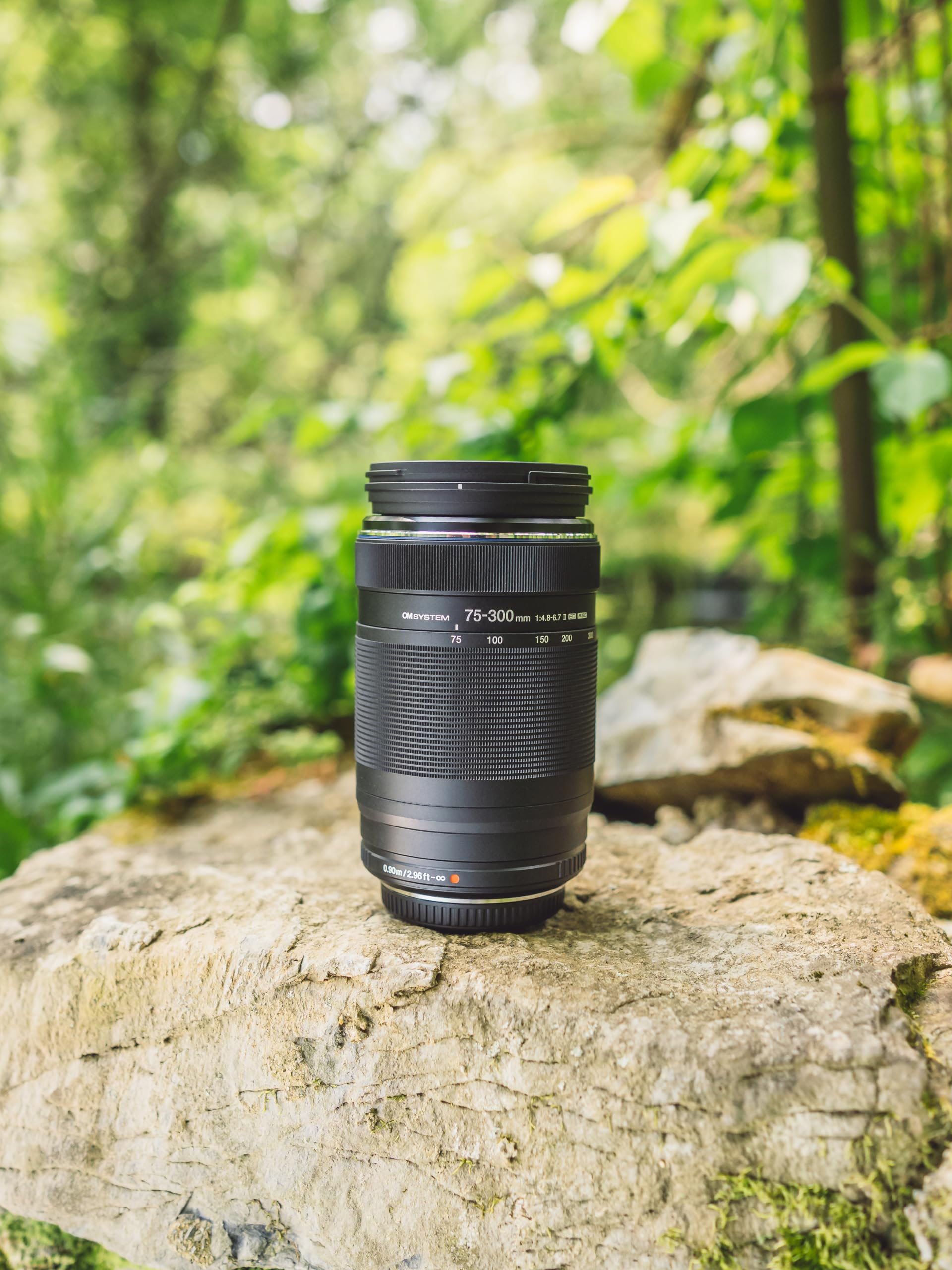 Amazon.com : OM SYSTEM Olympus M.Zuiko Digital 75-300mm F4.8-6.7