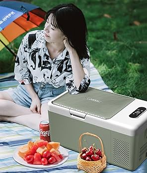 Amazon.co.jp: Alpicool 車載冷蔵庫 17L -20℃～20℃ 急速冷凍 3WAY電源