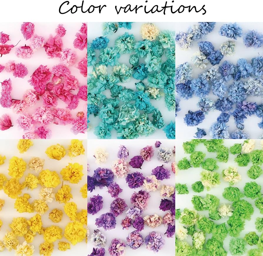 Amazon | Princess-style かすみ草 ドライフラワー 花頭 咲いた花