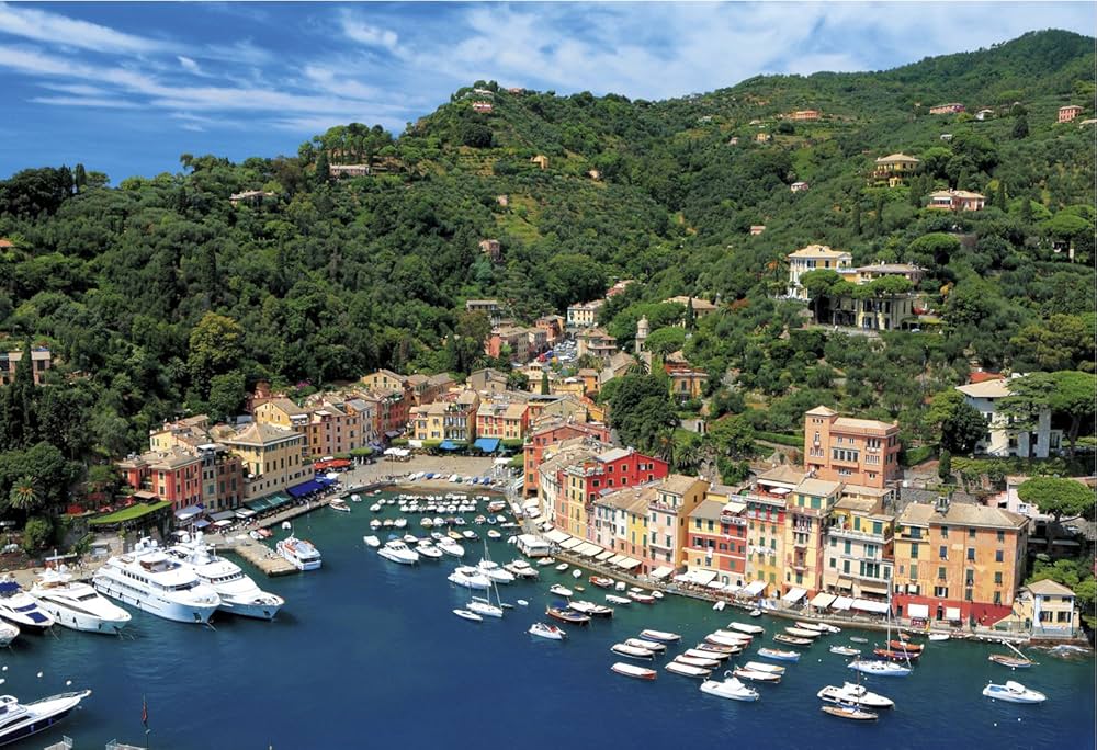 81hxTWvMXVL._AC_UF1000,