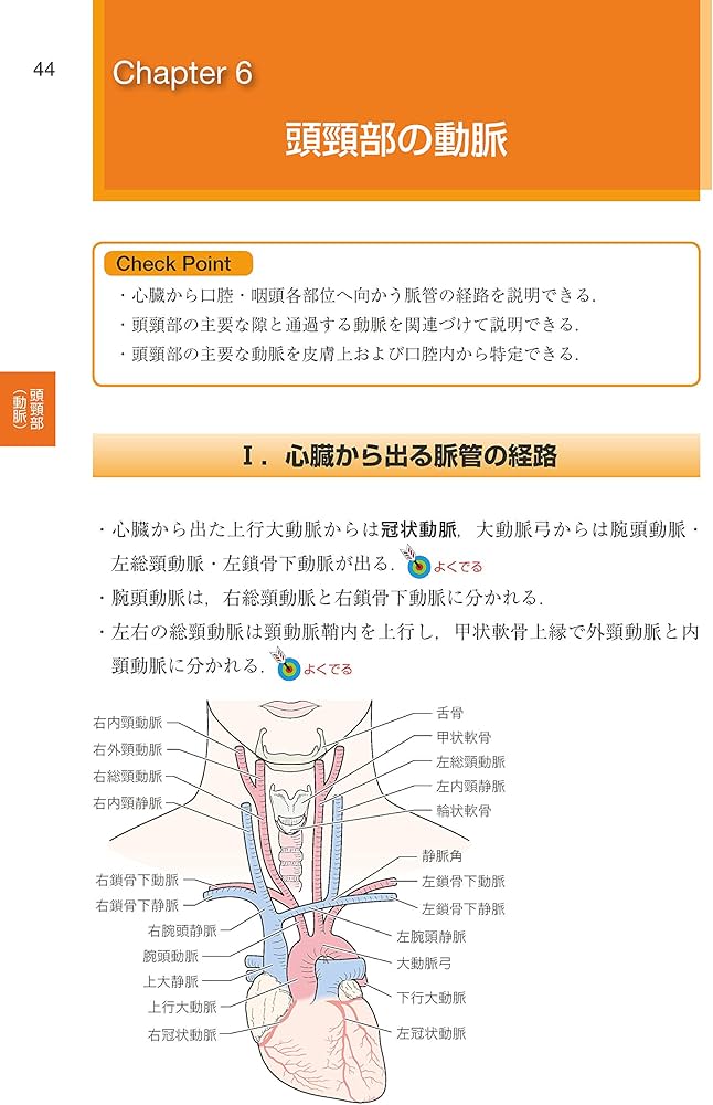口腔解剖学 (歯科国試パーフェクトマスター) | 阿部 伸一 |本 | 通販