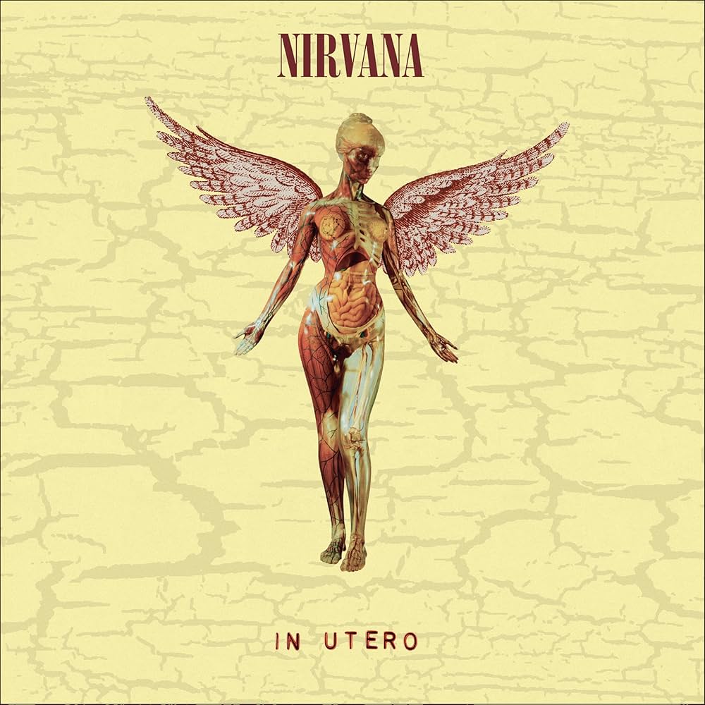Amazon.com: In Utero (30th Anniversary Super Deluxe Ediiton 8LP