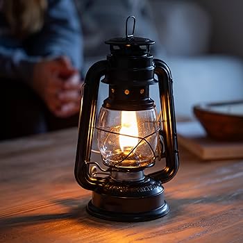 Lamplight Farms 52664 Farmer's Lantern, Black : Amazon.ca: Home