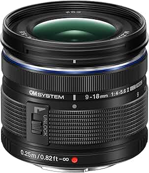 81jONrwXlxL._AC_UF350,