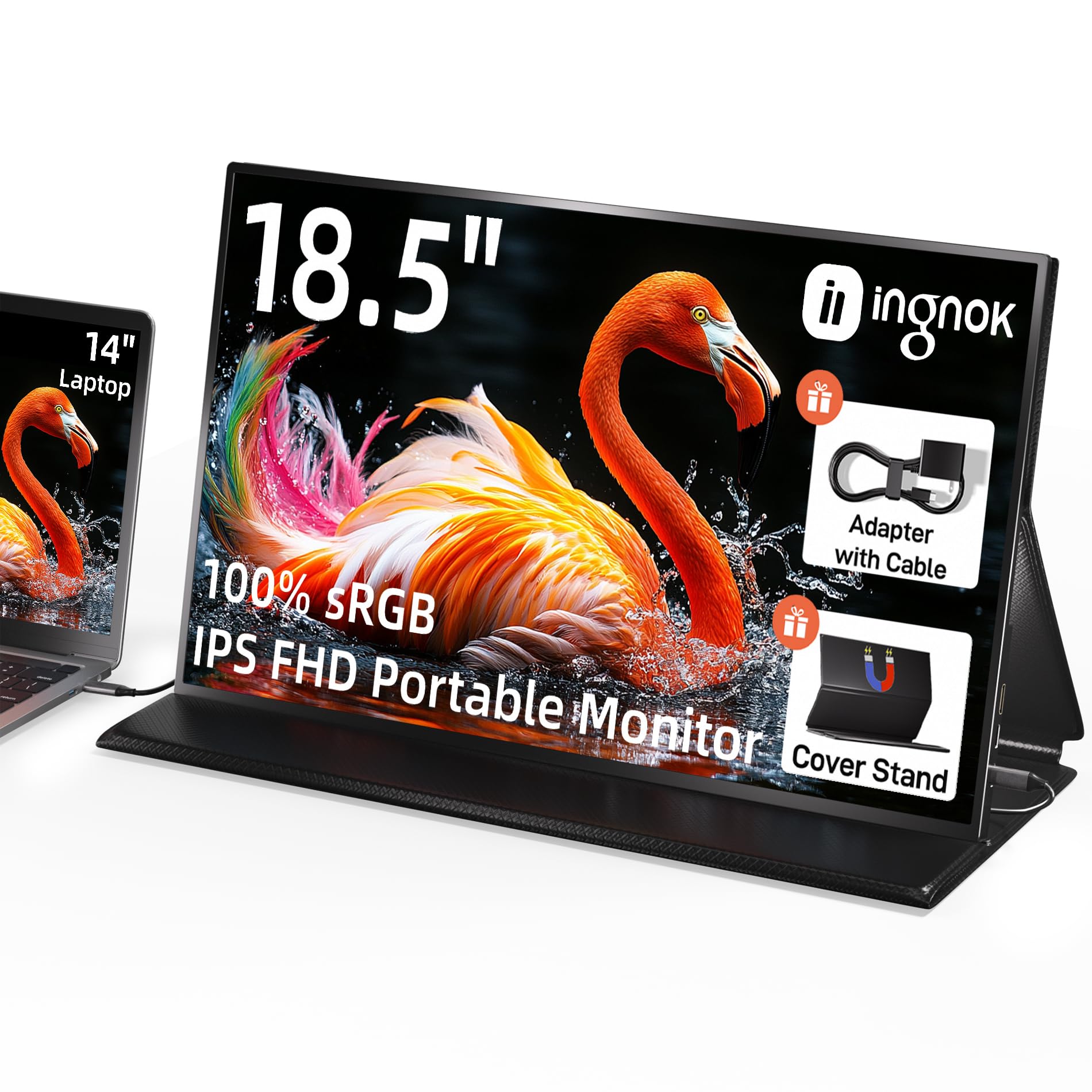 Amazon.com: Ingnok Portable Monitor, 18.5 Inch FHD 1080P 100% sRGB