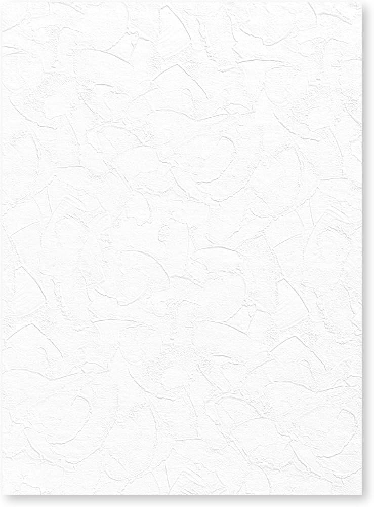 Amazon | ピノスタジオ 撮影用背景シート Pro版 漆喰 シート単品 豊富