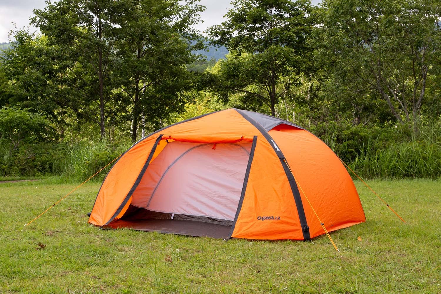 Amazon | ogawa(オガワ) アウトドア キャンプ 防災 避難 エアー