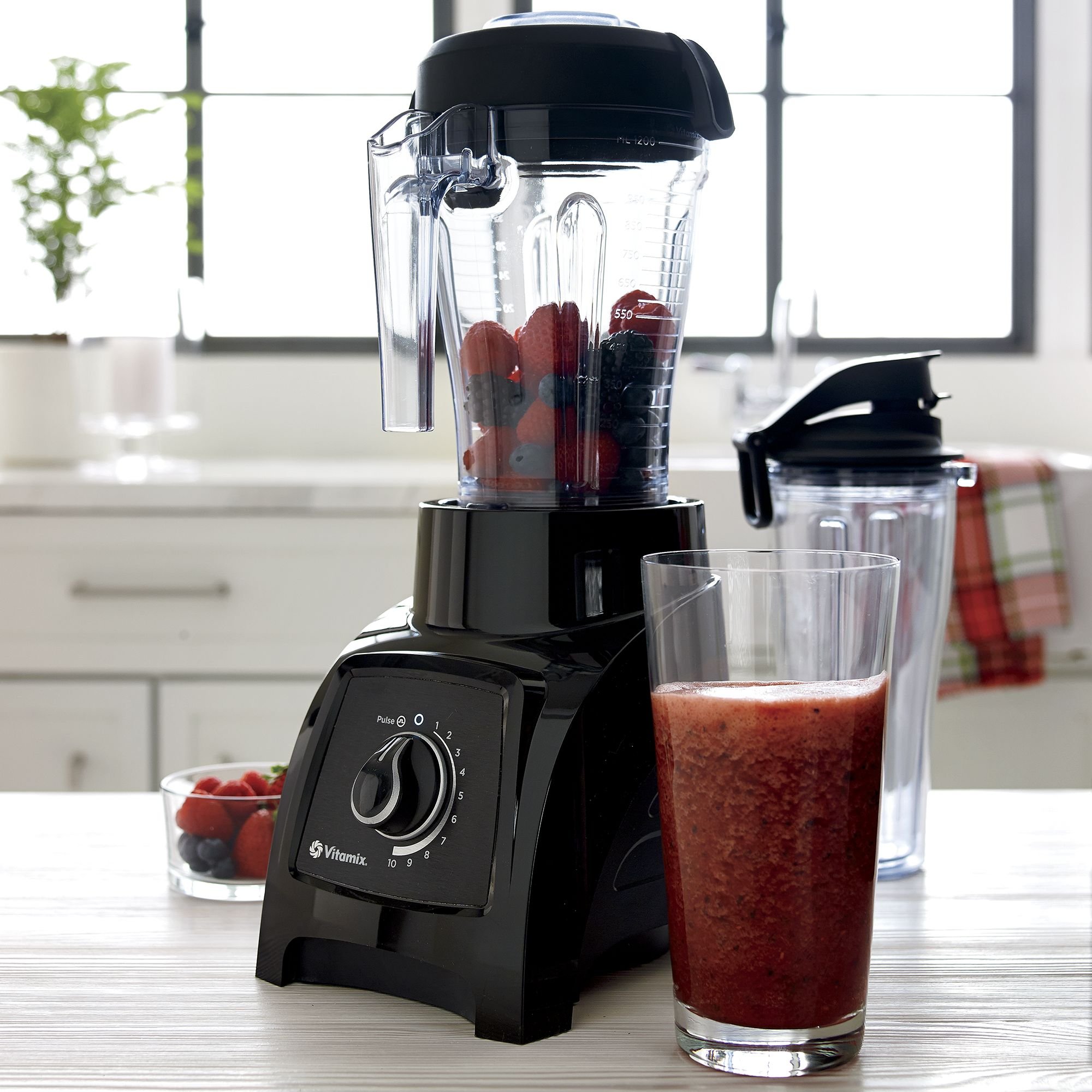 Amazon.com: Vitamix S30 S-Series Blender, Professional-Grade, 40oz
