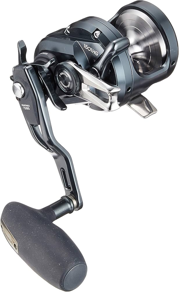 SHIMANO OCEA JIGGER F Custom 1501 HG: Buy Online at Best Price in