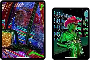 Amazon.com : Apple 2022 iPad Pro (11-inch, Wi-Fi, 128GB) - Space