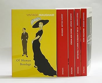 81lBnjtKquL._AC_UF350,