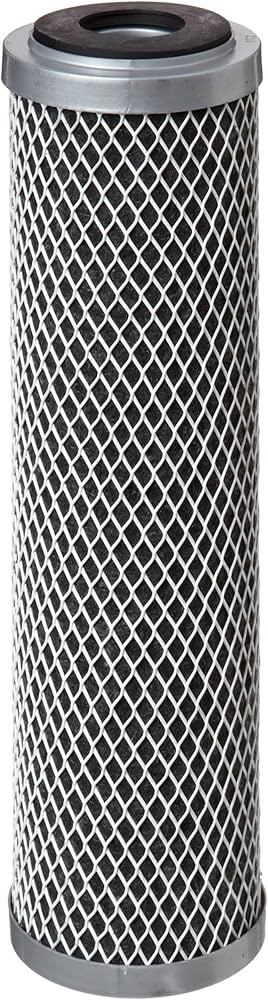 Amazon.com: Pentair Pentek FloPlus-10 Carbon Water Filter, 10-Inch