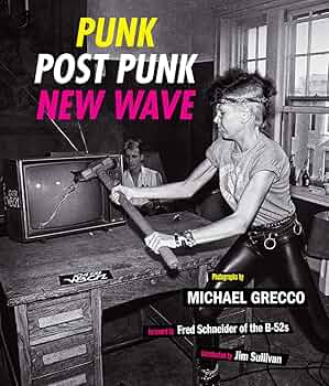 Amazon.com: Punk, Post Punk, New Wave: Onstage, Backstage, In Your