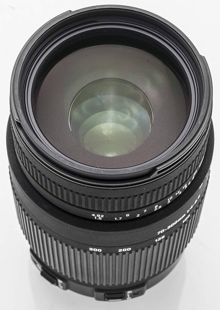 Amazon.co.jp: シグマ 70-300mm F4-5.6 DG OS キヤノン用 70-300mm F4