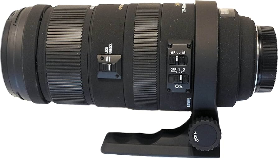 Amazon.com : Sigma 120-400mm f/4.5-5.6 AF APO DG OS HSM Telephoto