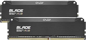 Amazon.com: OLOy DDR4 RAM 16GB (2x8GB) Black Hairline Blade RGB