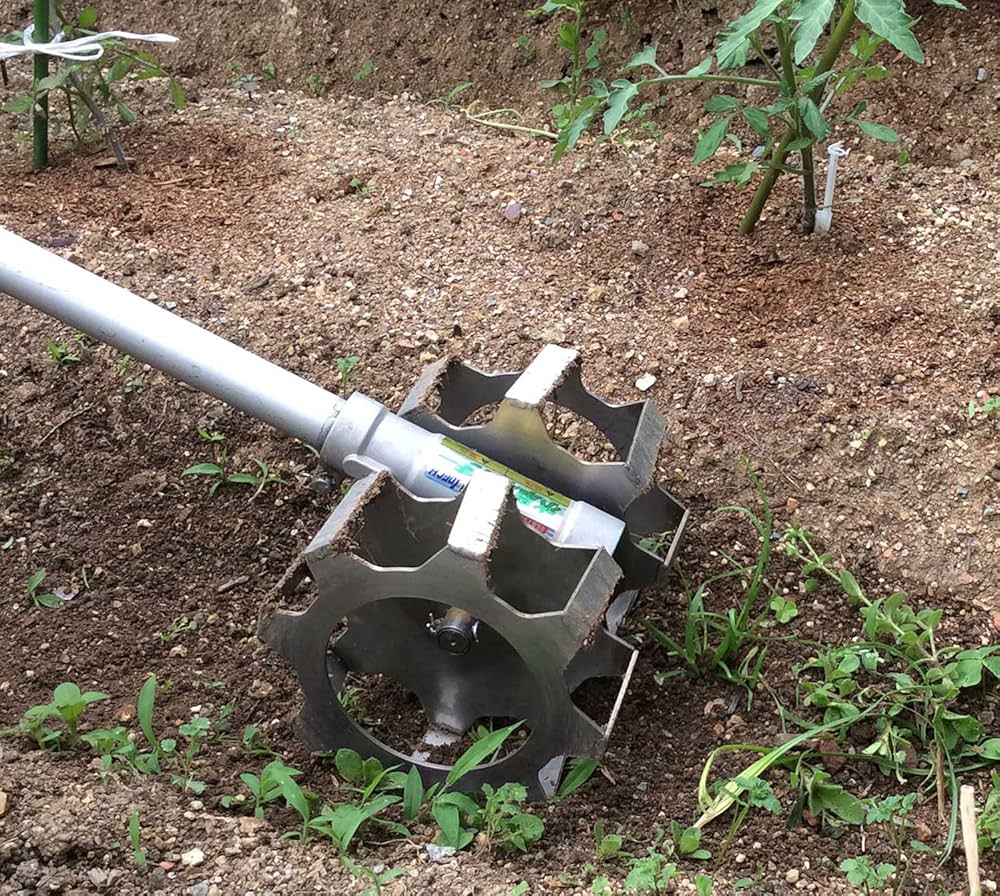 81n7zITX5uL._AC_UF1000,