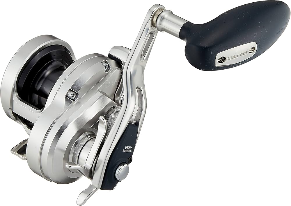 Amazon | シマノ(SHIMANO) ベイトリール 両軸 ジギング 17