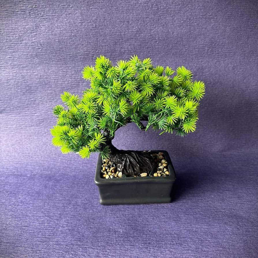 Amazon｜人工盆栽【ミニ 盆栽 五葉松 1個】松 五葉松 フェイク 枯れ