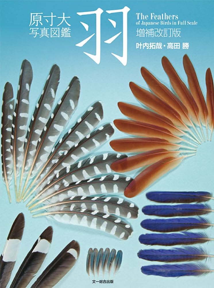 原寸大写真図鑑 羽 増補改訂版 : 拓哉, 叶内, 勝, 高田: Amazon.sg: Books