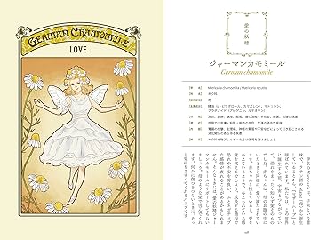 ハーブティーブレンドレシピ88 カップ一杯の魔法 | しばたみか |本