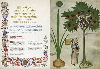 新装版 ひみつの薬箱 | ジュヌヴィエーヴ・グザイエ, 久木田 直江 |本