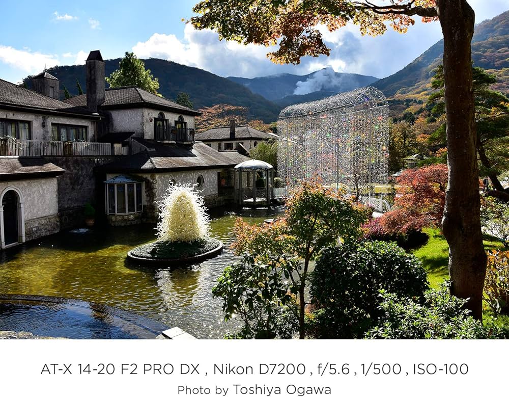 Amazon | Tokina 超広角ズームレンズ AT-X 14-20 F2 PRO DX ニコンF用