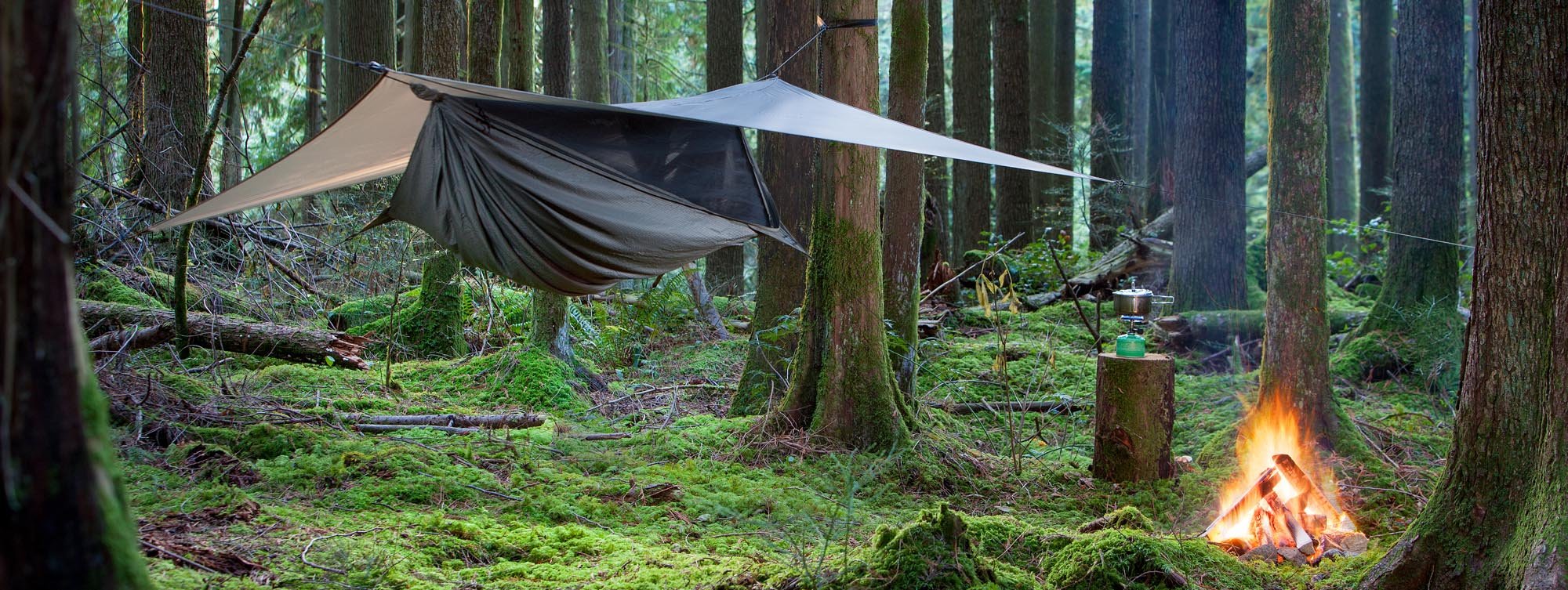 Hennessy Hammock - Expedition Classic : Amazon.co.uk: Sports