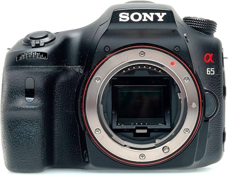 Amazon.com : Sony SLT-A65V 24.3 MP Translucent Mirror Digital SLR