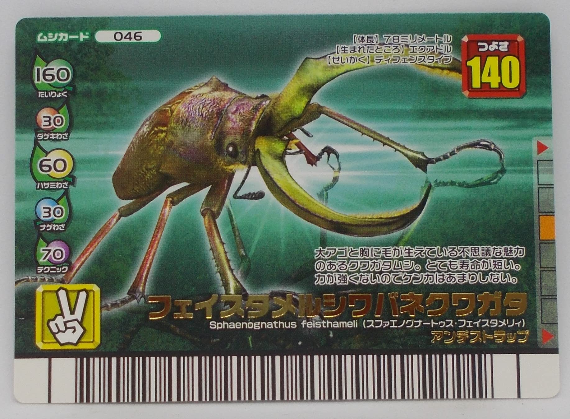 Amazon | 【046-フォレストグリーン】フェイスタメルシワバネクワガタ