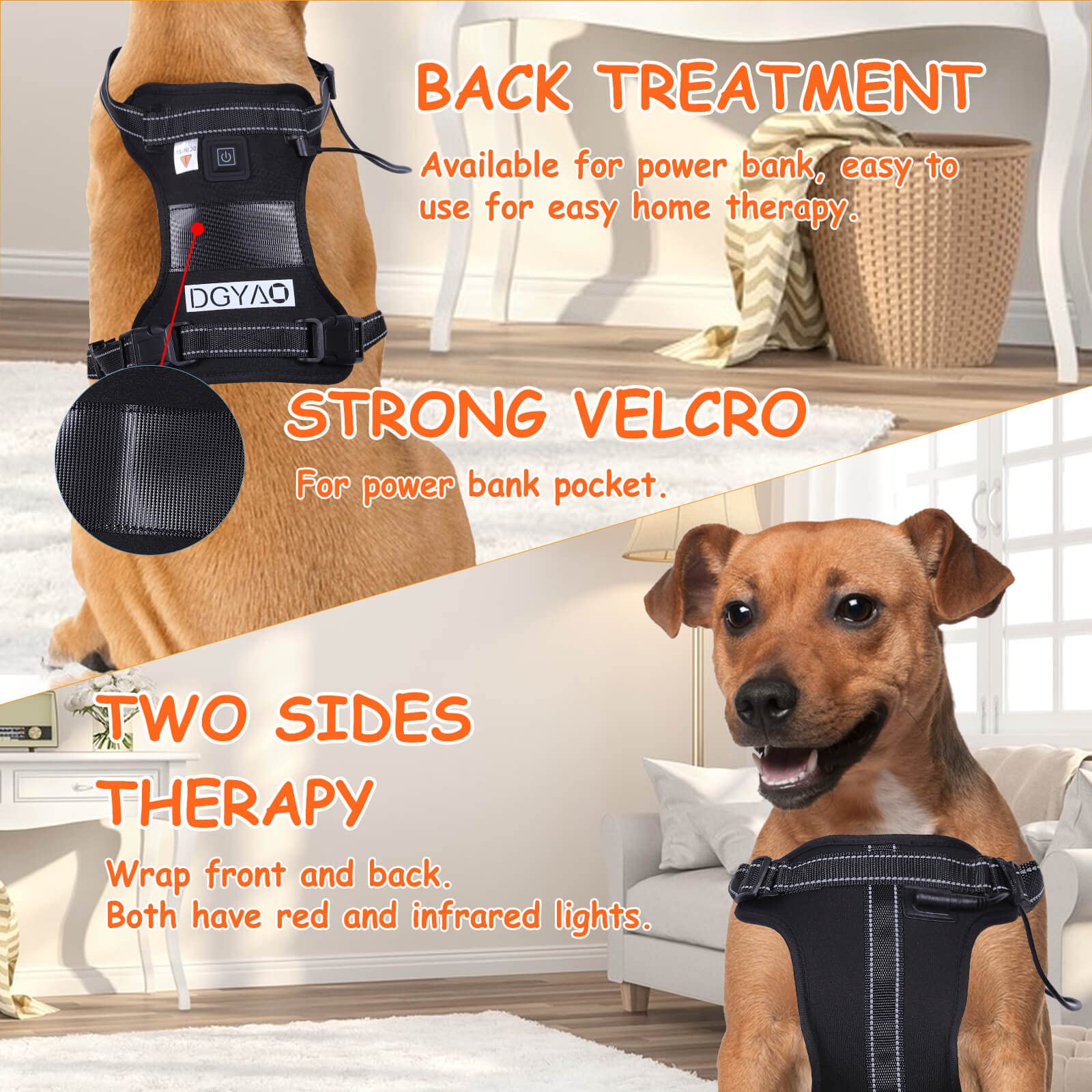 DGYAO Dog Back Brace with Red & Infrared Light Therapy for