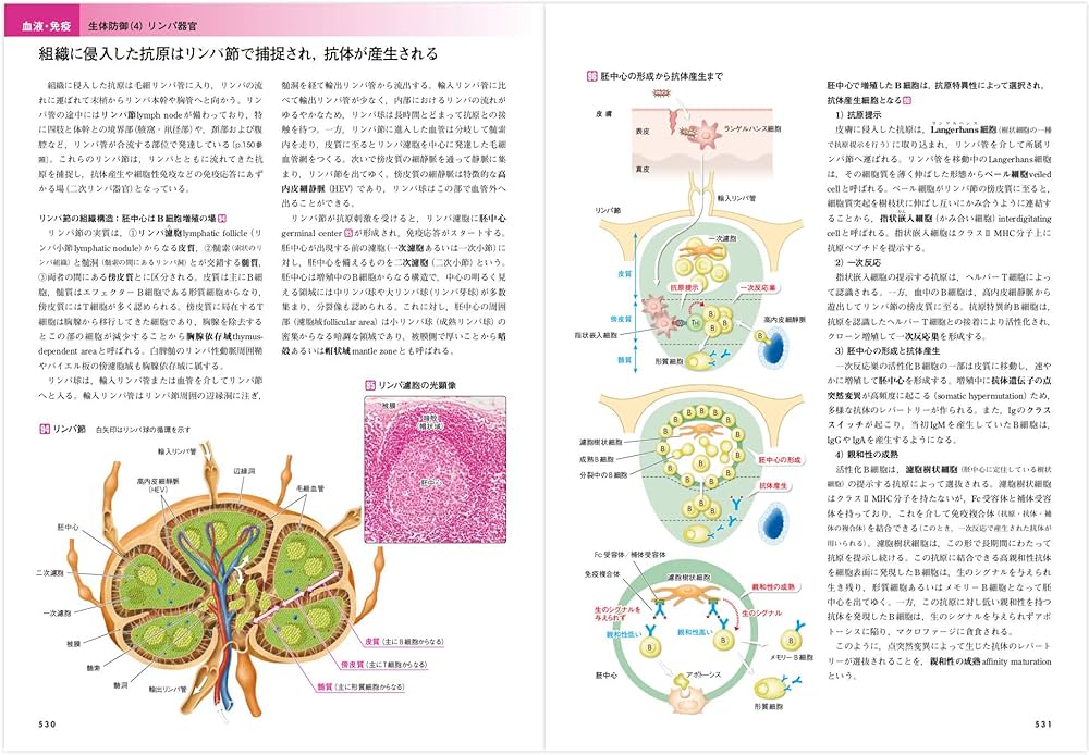 カラー図解 人体の正常構造と機能 全10巻縮刷版【電子書籍つき